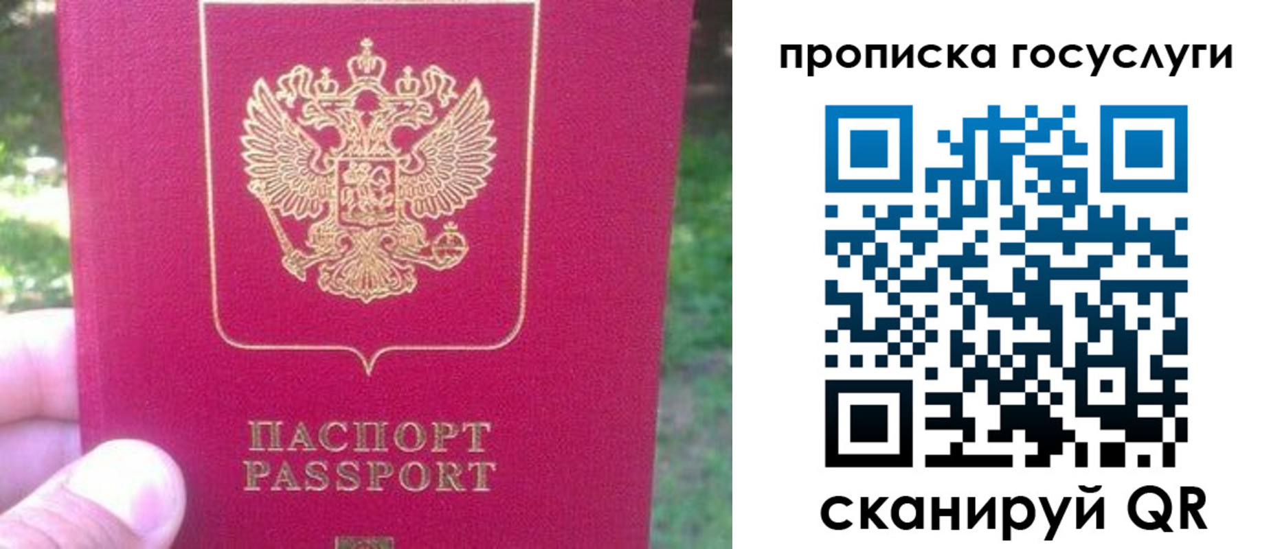временная регистрация собственник в Михайловке